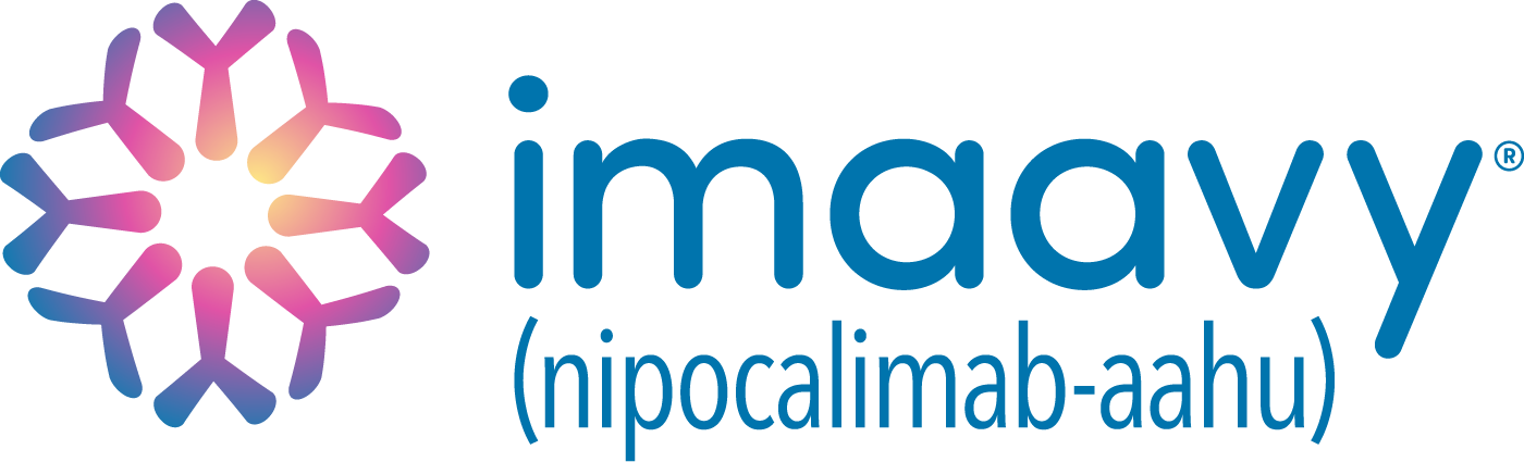 Imaavy logo